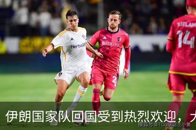 伊朗国家队回国受到热烈欢迎，大批球迷接机
